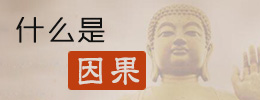 什么是因果?